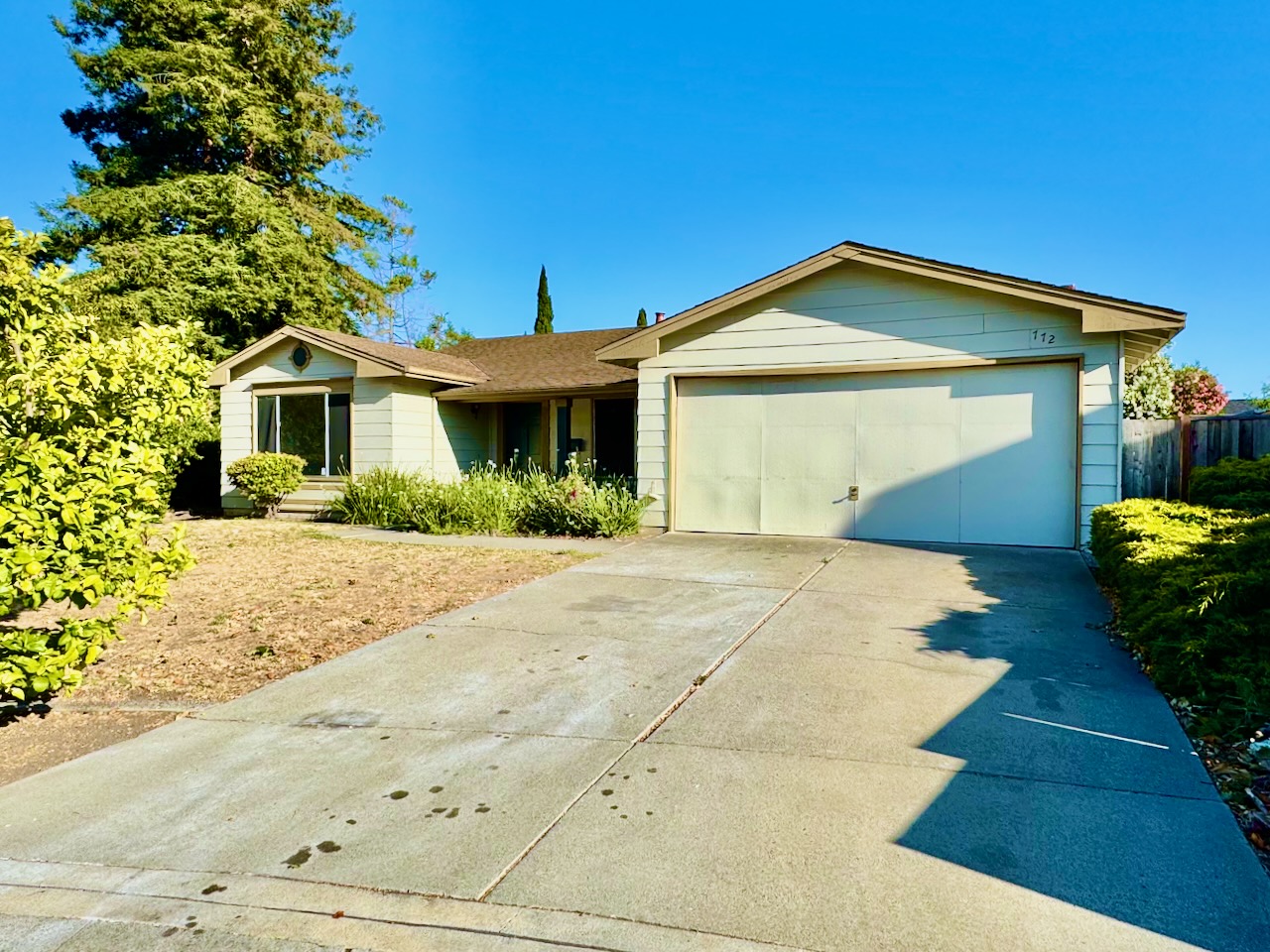 772 Privet Court